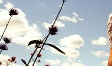 念念不忘,必有回响