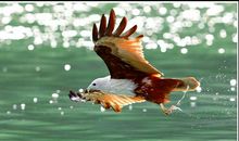 成功不会唾手可得