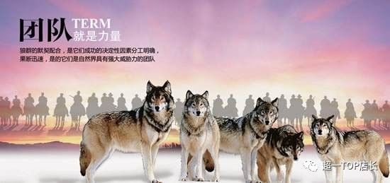 狼给了我什么