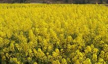 那无法忘怀的一幕