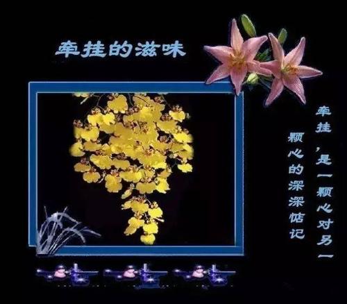 深情护理