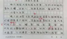 哇这里真热闹作文