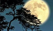 远在千里的思乡