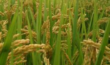 青春因你而感动