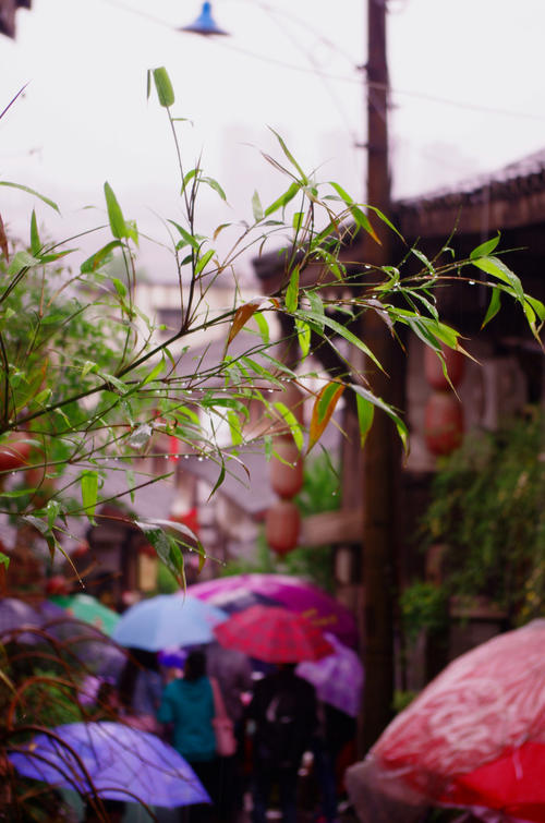 重庆雨