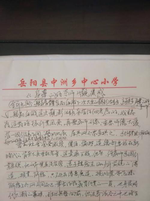 评《李新任老师》