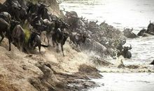 成功与失败只在一瞬间