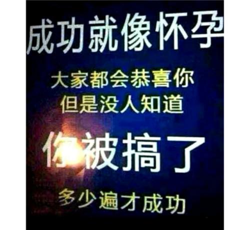 我成功是因为我努力工作