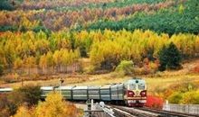 绿皮火车的梦想