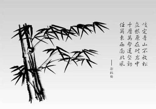 我是竹子
