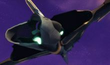 我发现了鱼的秘密