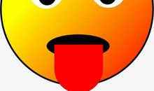 难忘那张调皮的脸