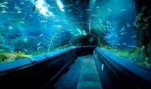 上海水族馆之行