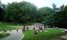 美丽的中央公园