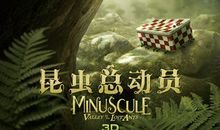 昆虫总动员观后感