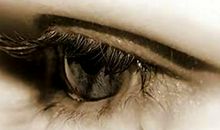 这件事真让我震撼