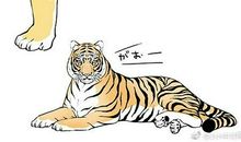 我发现了妈妈的一个小秘密