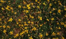 我和故乡一起成长