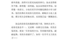 关于小池的作文