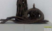 慢下脚步，品味世界