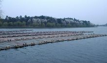 寻找家乡之美——春游珍珠泉