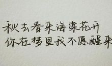 青春，是一本仓促的书