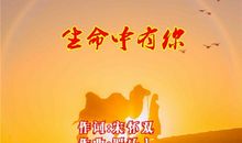 生命有你会更好