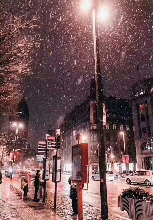上海下雪