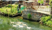 乡村里的情与理