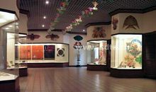 参观风筝博物馆