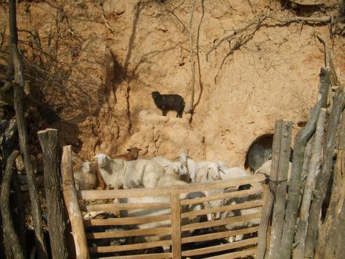我一家人住在黄土坡上
