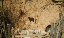 我家住在黄土高坡