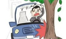 我与蚊子之间的搏斗