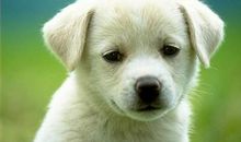 无奈的一件小事