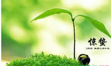 关于惊蛰的作文