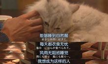 不堪回首的往事