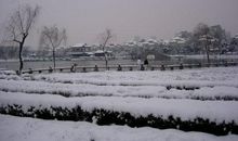 一场难忘的大雪