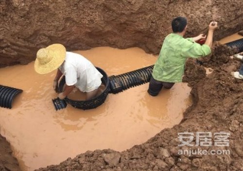 赞美