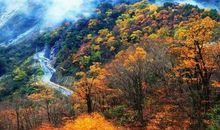 四季皆美各不同