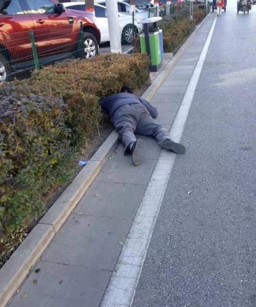 热心的司机