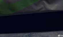 可敬可畏的鱼群