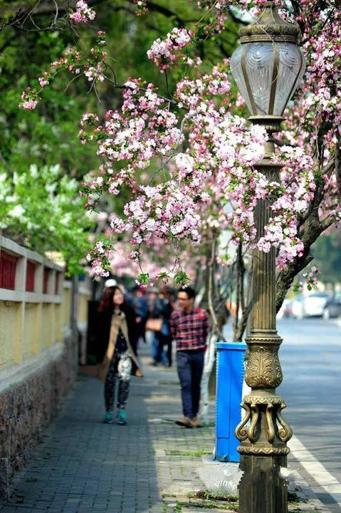 走过花路