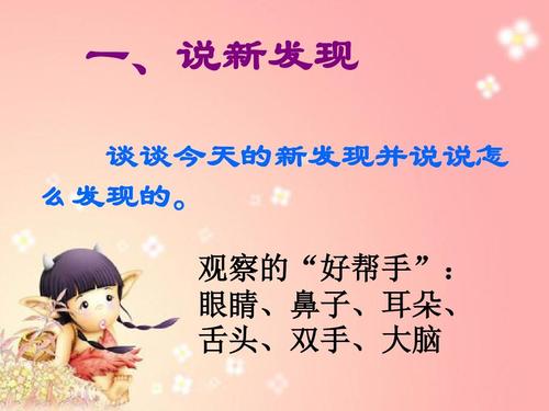 红耳龟的观察日记
