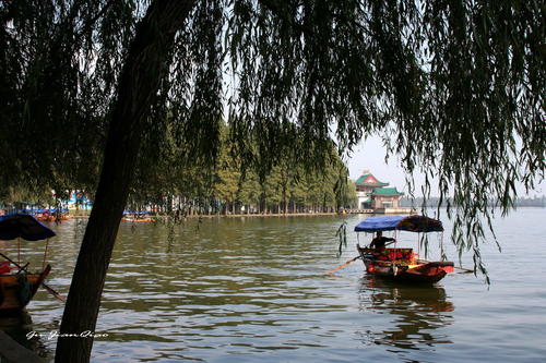 漂流东湖