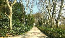 春天的河滨公园