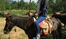 茶马古道骑马
