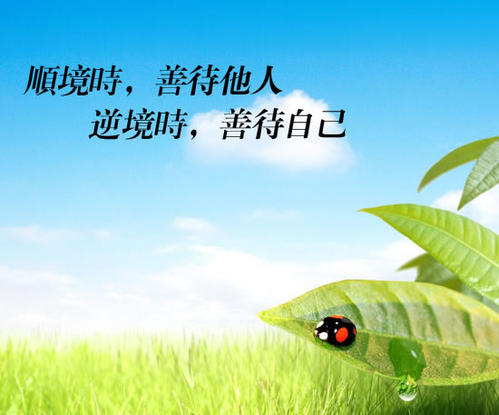 原来这是最好的安排