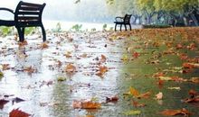 我是大自然中的一员——秋雨