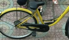 不要把共享单车变为自己的