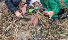 一次有趣的秋游